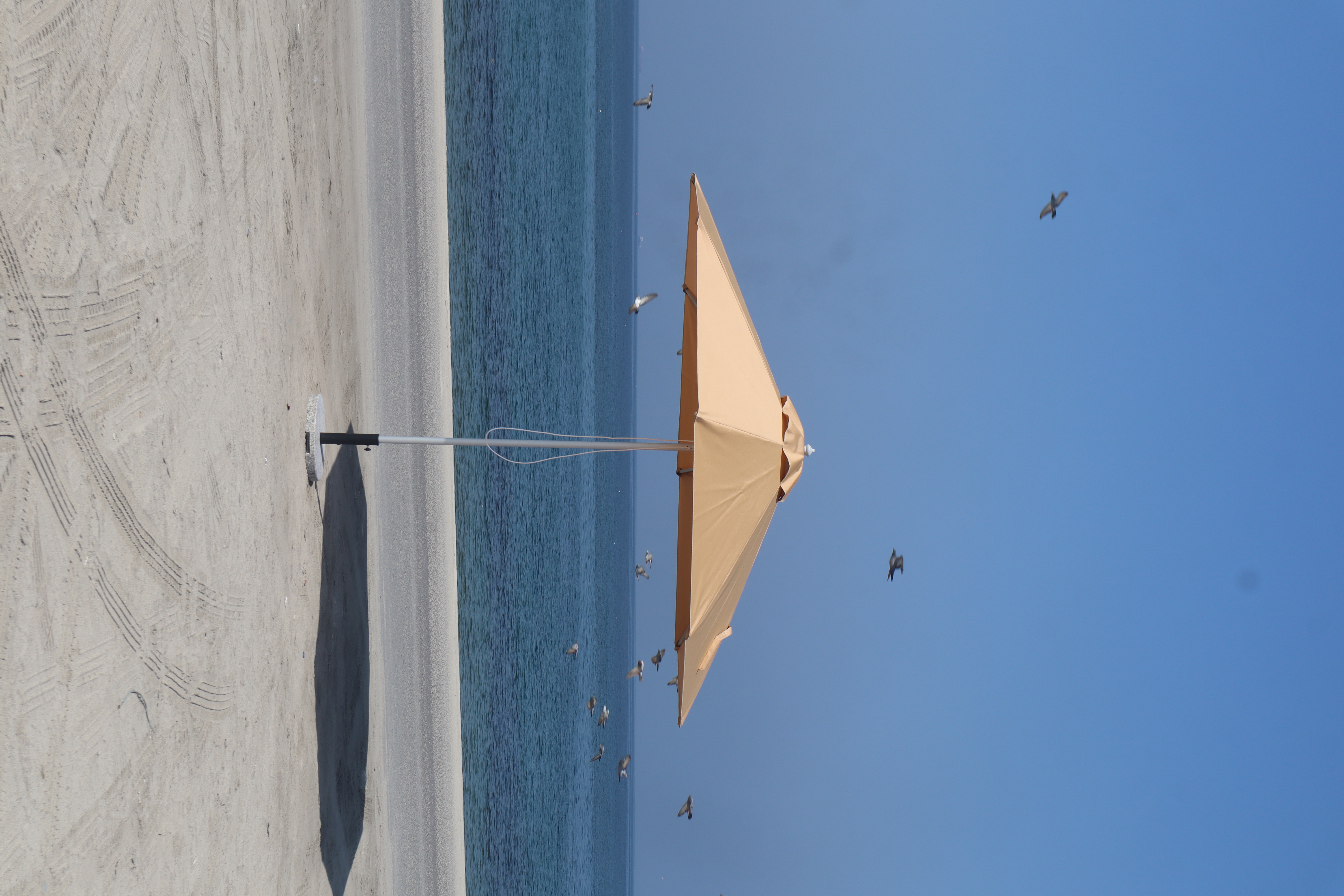 Beach Umbrella Dubai by Creative Vision Global