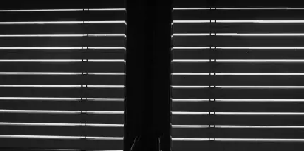 Blackout roller blinds