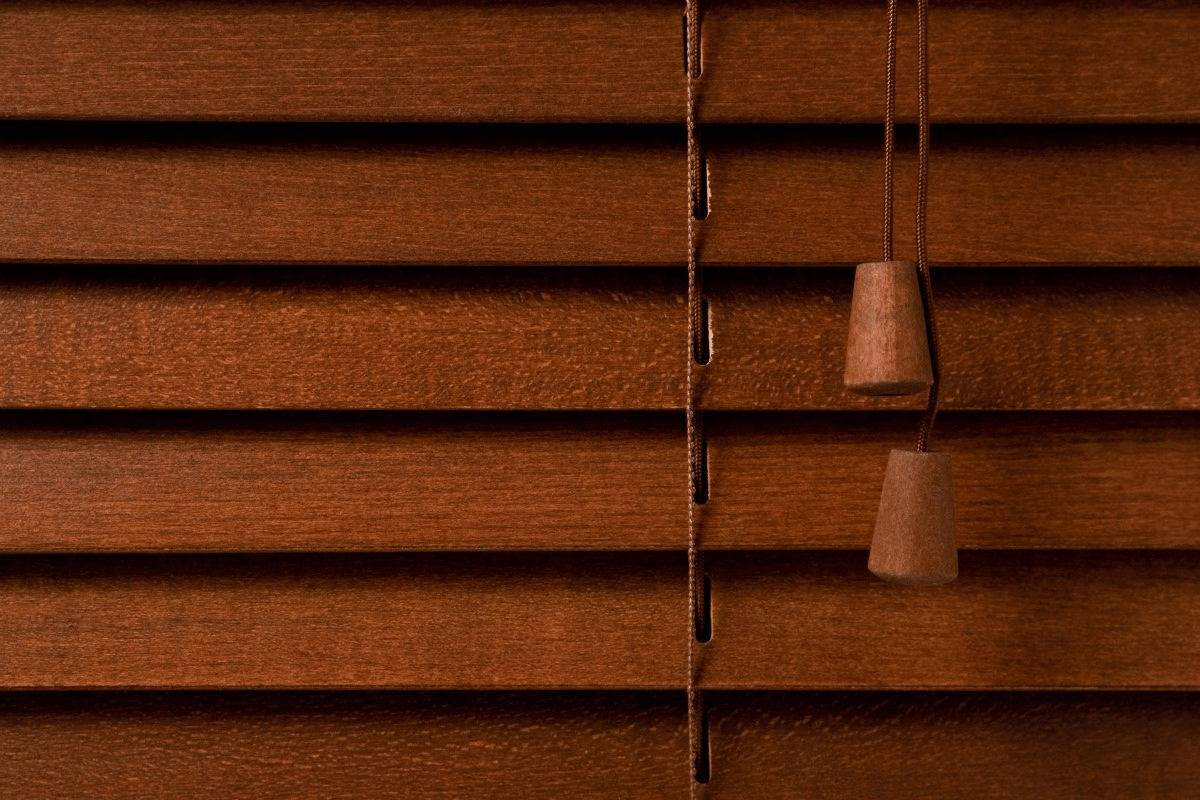 Creative Vision Global