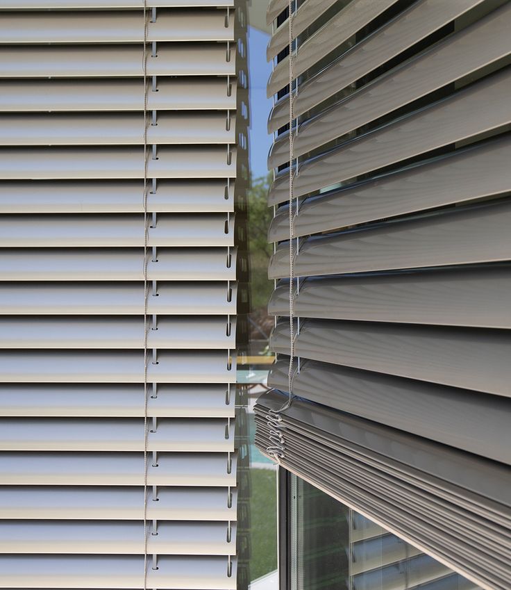 Creative Vision Global