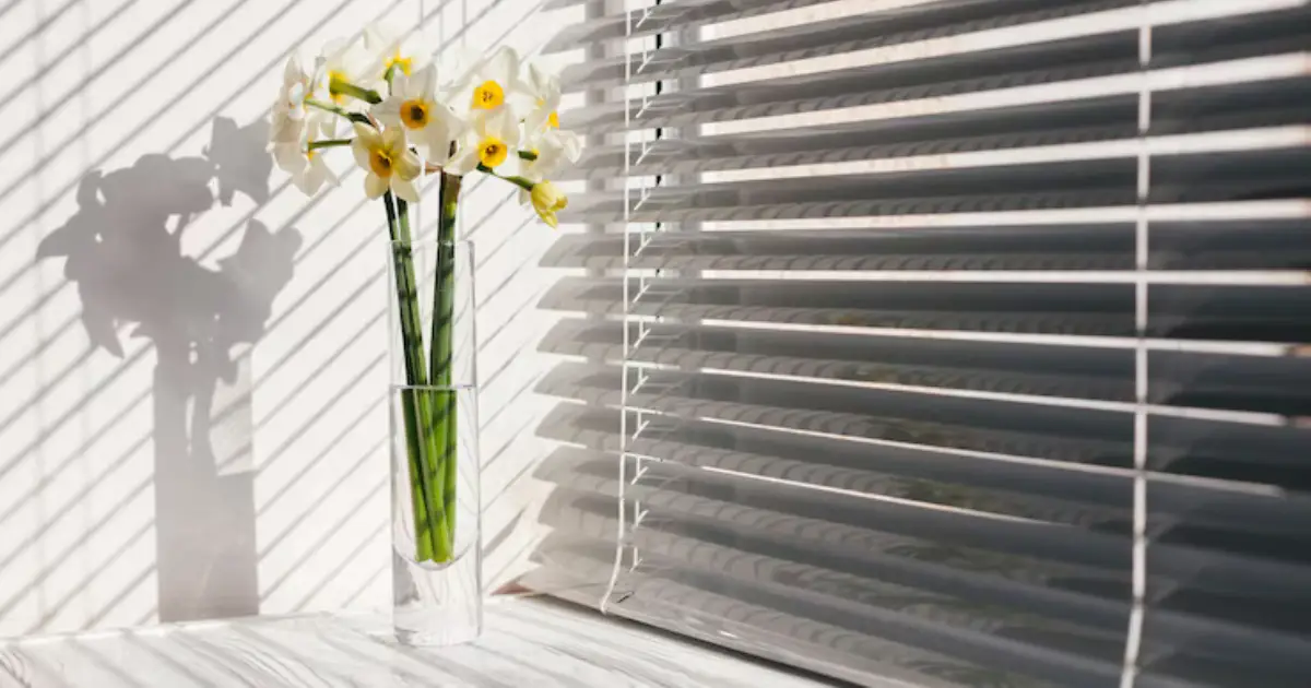 Benefits of Using Blinds